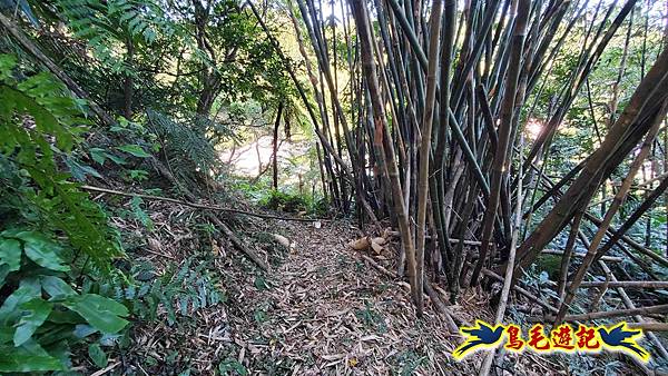 暖暖苗圃-外西勢坑山-暖暖砲台-復基煤礦O形 (45).jpg