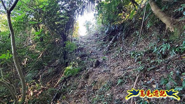 暖暖苗圃-外西勢坑山-暖暖砲台-復基煤礦O形 (53).jpg