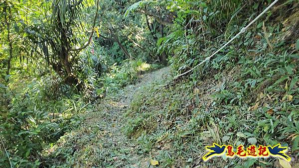 暖暖苗圃-外西勢坑山-暖暖砲台-復基煤礦O形 (52).jpg 暖暖苗圃-外西勢坑山-暖暖砲台-復基煤礦O形 (52).jpg