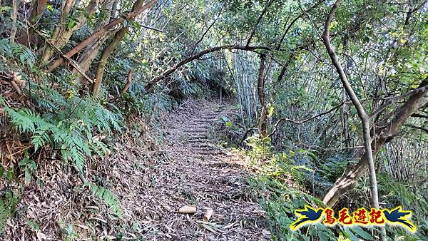 暖暖苗圃-外西勢坑山-暖暖砲台-復基煤礦O形 (50).jpg 暖暖苗圃-外西勢坑山-暖暖砲台-復基煤礦O形 (50).jpg