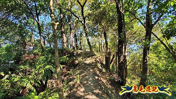 暖暖苗圃-外西勢坑山-暖暖砲台-復基煤礦O形 (54).jpg 暖暖苗圃-外西勢坑山-暖暖砲台-復基煤礦O形 (54).jpg