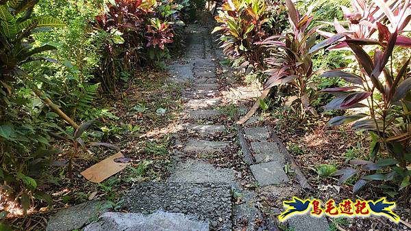 暖暖苗圃-外西勢坑山-暖暖砲台-復基煤礦O形 (57).jpg