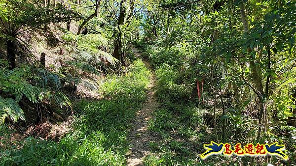 暖暖苗圃-外西勢坑山-暖暖砲台-復基煤礦O形 (60).jpg 暖暖苗圃-外西勢坑山-暖暖砲台-復基煤礦O形 (60).jpg