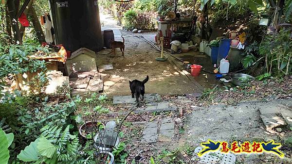 暖暖苗圃-外西勢坑山-暖暖砲台-復基煤礦O形 (58).jpg 暖暖苗圃-外西勢坑山-暖暖砲台-復基煤礦O形 (58).jpg