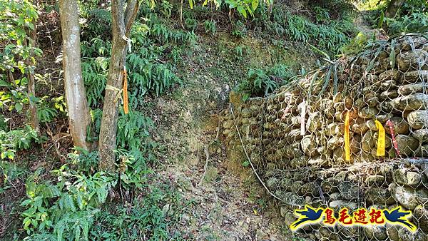 暖暖苗圃-外西勢坑山-暖暖砲台-復基煤礦O形 (64).jpg