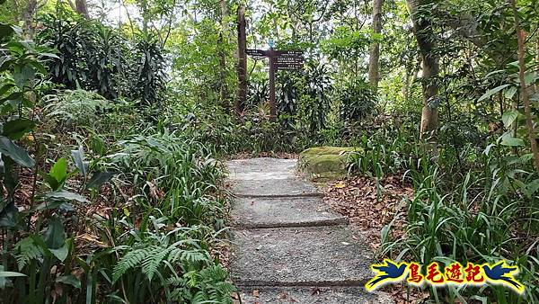 微笑山線(捷運景安站-迎日石-國旗嶺-長壽嶺-牛埔頭山-五尖山-南勢角山-光明頂-捷運南勢角站) (3).jpg 微笑山線(捷運景安站-迎日石-國旗嶺-長壽嶺-牛埔頭山-五尖山-南勢角山-光明頂-捷運南勢角站) (3).jpg