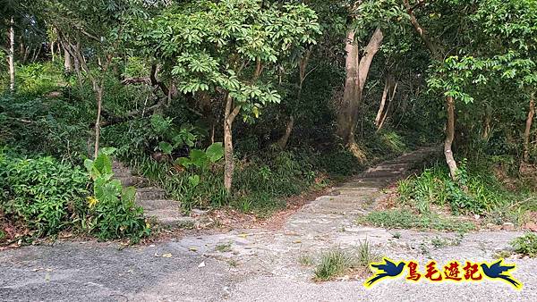 微笑山線(捷運景安站-迎日石-國旗嶺-長壽嶺-牛埔頭山-五尖山-南勢角山-光明頂-捷運南勢角站) (1).jpg