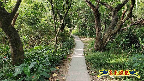 微笑山線(捷運景安站-迎日石-國旗嶺-長壽嶺-牛埔頭山-五尖山-南勢角山-光明頂-捷運南勢角站) (9).jpg 微笑山線(捷運景安站-迎日石-國旗嶺-長壽嶺-牛埔頭山-五尖山-南勢角山-光明頂-捷運南勢角站) (9).jpg