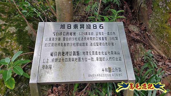 微笑山線(捷運景安站-迎日石-國旗嶺-長壽嶺-牛埔頭山-五尖山-南勢角山-光明頂-捷運南勢角站) (7).jpg 微笑山線(捷運景安站-迎日石-國旗嶺-長壽嶺-牛埔頭山-五尖山-南勢角山-光明頂-捷運南勢角站) (7).jpg