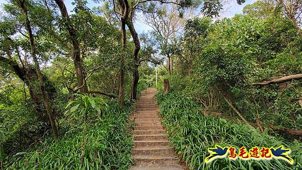 微笑山線(捷運景安站-迎日石-國旗嶺-長壽嶺-牛埔頭山-五尖山-南勢角山-光明頂-捷運南勢角站) (12).jpg