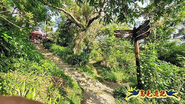 微笑山線(捷運景安站-迎日石-國旗嶺-長壽嶺-牛埔頭山-五尖山-南勢角山-光明頂-捷運南勢角站) (16).jpg