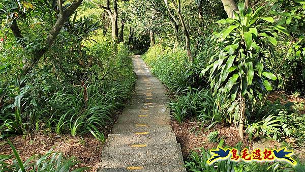 微笑山線(捷運景安站-迎日石-國旗嶺-長壽嶺-牛埔頭山-五尖山-南勢角山-光明頂-捷運南勢角站) (20).jpg