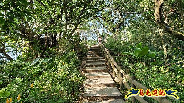 微笑山線(捷運景安站-迎日石-國旗嶺-長壽嶺-牛埔頭山-五尖山-南勢角山-光明頂-捷運南勢角站) (23).jpg 微笑山線(捷運景安站-迎日石-國旗嶺-長壽嶺-牛埔頭山-五尖山-南勢角山-光明頂-捷運南勢角站) (23).jpg