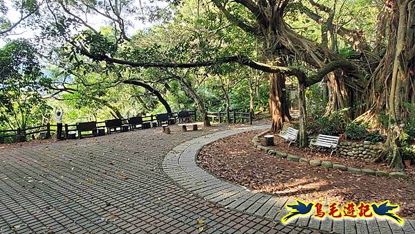 微笑山線(捷運景安站-迎日石-國旗嶺-長壽嶺-牛埔頭山-五尖山-南勢角山-光明頂-捷運南勢角站) (21).jpg 微笑山線(捷運景安站-迎日石-國旗嶺-長壽嶺-牛埔頭山-五尖山-南勢角山-光明頂-捷運南勢角站) (21).jpg