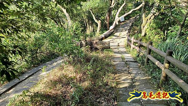 微笑山線(捷運景安站-迎日石-國旗嶺-長壽嶺-牛埔頭山-五尖山-南勢角山-光明頂-捷運南勢角站) (29).jpg 微笑山線(捷運景安站-迎日石-國旗嶺-長壽嶺-牛埔頭山-五尖山-南勢角山-光明頂-捷運南勢角站) (29).jpg