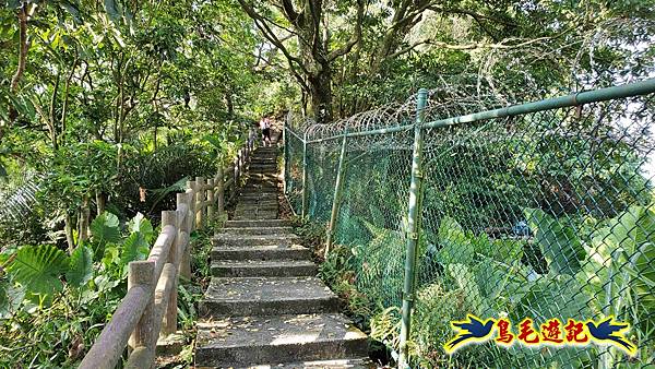 微笑山線(捷運景安站-迎日石-國旗嶺-長壽嶺-牛埔頭山-五尖山-南勢角山-光明頂-捷運南勢角站) (27).jpg 微笑山線(捷運景安站-迎日石-國旗嶺-長壽嶺-牛埔頭山-五尖山-南勢角山-光明頂-捷運南勢角站) (27).jpg