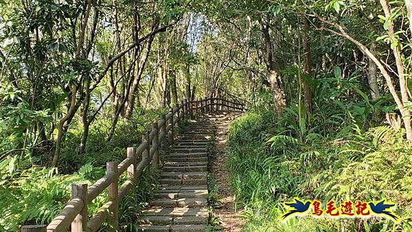 微笑山線(捷運景安站-迎日石-國旗嶺-長壽嶺-牛埔頭山-五尖山-南勢角山-光明頂-捷運南勢角站) (37).jpg 微笑山線(捷運景安站-迎日石-國旗嶺-長壽嶺-牛埔頭山-五尖山-南勢角山-光明頂-捷運南勢角站) (37).jpg