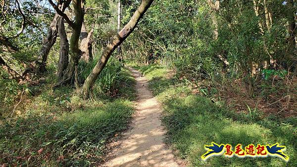 微笑山線(捷運景安站-迎日石-國旗嶺-長壽嶺-牛埔頭山-五尖山-南勢角山-光明頂-捷運南勢角站) (39).jpg 微笑山線(捷運景安站-迎日石-國旗嶺-長壽嶺-牛埔頭山-五尖山-南勢角山-光明頂-捷運南勢角站) (39).jpg