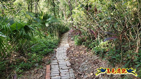 微笑山線(捷運景安站-迎日石-國旗嶺-長壽嶺-牛埔頭山-五尖山-南勢角山-光明頂-捷運南勢角站) (43).jpg 微笑山線(捷運景安站-迎日石-國旗嶺-長壽嶺-牛埔頭山-五尖山-南勢角山-光明頂-捷運南勢角站) (43).jpg