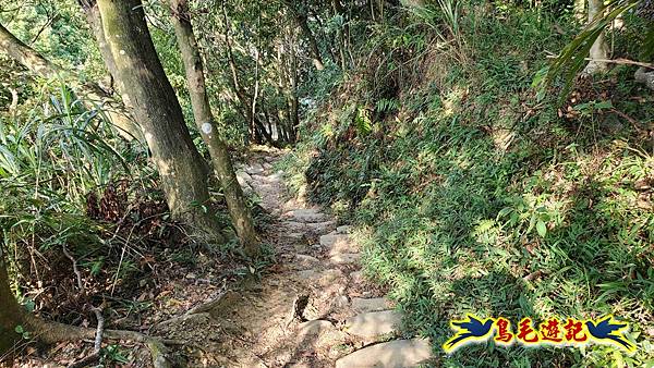微笑山線(捷運景安站-迎日石-國旗嶺-長壽嶺-牛埔頭山-五尖山-南勢角山-光明頂-捷運南勢角站) (40).jpg