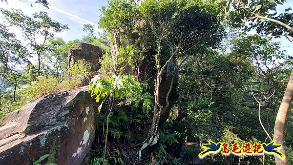 微笑山線(捷運景安站-迎日石-國旗嶺-長壽嶺-牛埔頭山-五尖山-南勢角山-光明頂-捷運南勢角站) (44).jpg