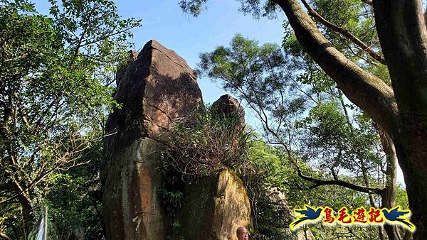 微笑山線(捷運景安站-迎日石-國旗嶺-長壽嶺-牛埔頭山-五尖山-南勢角山-光明頂-捷運南勢角站) (47).jpg