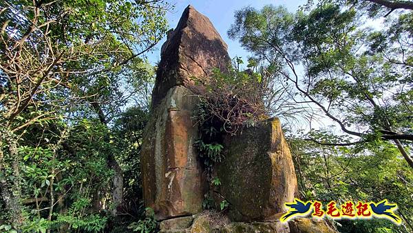 微笑山線(捷運景安站-迎日石-國旗嶺-長壽嶺-牛埔頭山-五尖山-南勢角山-光明頂-捷運南勢角站) (46).jpg 微笑山線(捷運景安站-迎日石-國旗嶺-長壽嶺-牛埔頭山-五尖山-南勢角山-光明頂-捷運南勢角站) (46).jpg