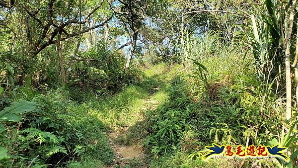 微笑山線(捷運景安站-迎日石-國旗嶺-長壽嶺-牛埔頭山-五尖山-南勢角山-光明頂-捷運南勢角站) (53).jpg