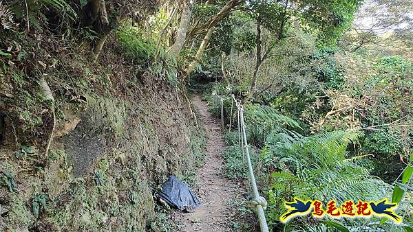 微笑山線(捷運景安站-迎日石-國旗嶺-長壽嶺-牛埔頭山-五尖山-南勢角山-光明頂-捷運南勢角站) (49).jpg
