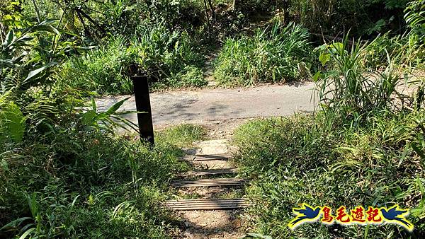 微笑山線(捷運景安站-迎日石-國旗嶺-長壽嶺-牛埔頭山-五尖山-南勢角山-光明頂-捷運南勢角站) (52).jpg 微笑山線(捷運景安站-迎日石-國旗嶺-長壽嶺-牛埔頭山-五尖山-南勢角山-光明頂-捷運南勢角站) (52).jpg