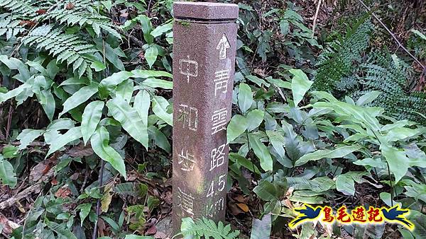 微笑山線(捷運景安站-迎日石-國旗嶺-長壽嶺-牛埔頭山-五尖山-南勢角山-光明頂-捷運南勢角站) (50).jpg 微笑山線(捷運景安站-迎日石-國旗嶺-長壽嶺-牛埔頭山-五尖山-南勢角山-光明頂-捷運南勢角站) (50).jpg