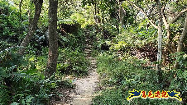微笑山線(捷運景安站-迎日石-國旗嶺-長壽嶺-牛埔頭山-五尖山-南勢角山-光明頂-捷運南勢角站) (48).jpg 微笑山線(捷運景安站-迎日石-國旗嶺-長壽嶺-牛埔頭山-五尖山-南勢角山-光明頂-捷運南勢角站) (48).jpg