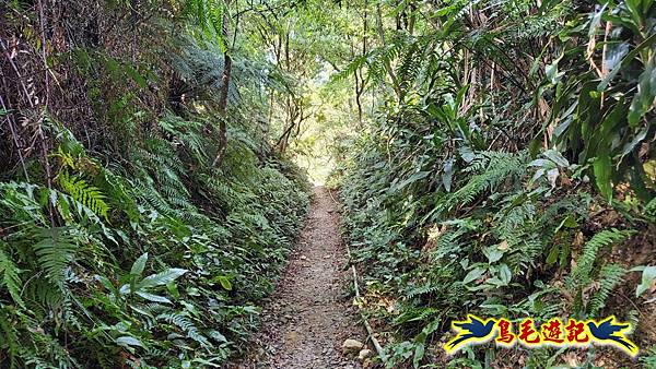 微笑山線(捷運景安站-迎日石-國旗嶺-長壽嶺-牛埔頭山-五尖山-南勢角山-光明頂-捷運南勢角站) (51).jpg