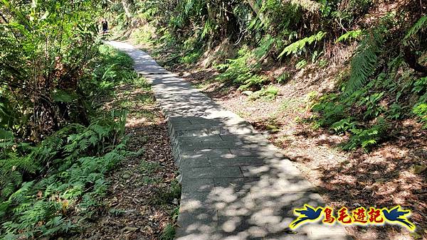 微笑山線(捷運景安站-迎日石-國旗嶺-長壽嶺-牛埔頭山-五尖山-南勢角山-光明頂-捷運南勢角站) (55).jpg