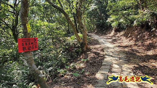 微笑山線(捷運景安站-迎日石-國旗嶺-長壽嶺-牛埔頭山-五尖山-南勢角山-光明頂-捷運南勢角站) (59).jpg