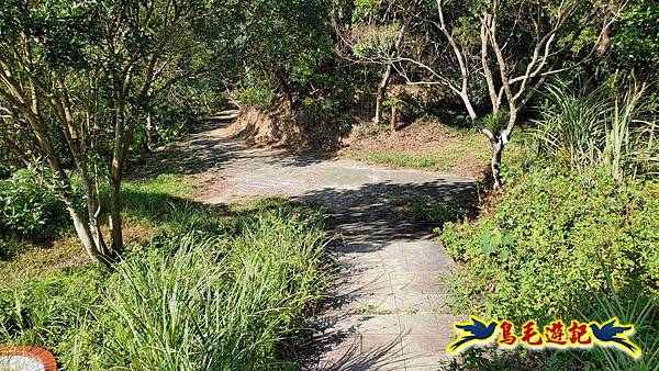 微笑山線(捷運景安站-迎日石-國旗嶺-長壽嶺-牛埔頭山-五尖山-南勢角山-光明頂-捷運南勢角站) (54).jpg 微笑山線(捷運景安站-迎日石-國旗嶺-長壽嶺-牛埔頭山-五尖山-南勢角山-光明頂-捷運南勢角站) (54).jpg