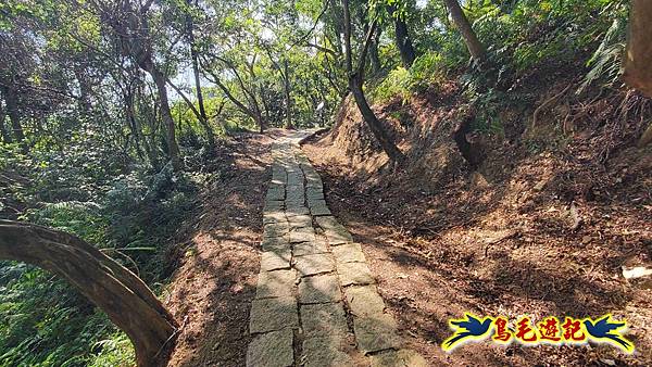 微笑山線(捷運景安站-迎日石-國旗嶺-長壽嶺-牛埔頭山-五尖山-南勢角山-光明頂-捷運南勢角站) (60).jpg 微笑山線(捷運景安站-迎日石-國旗嶺-長壽嶺-牛埔頭山-五尖山-南勢角山-光明頂-捷運南勢角站) (60).jpg