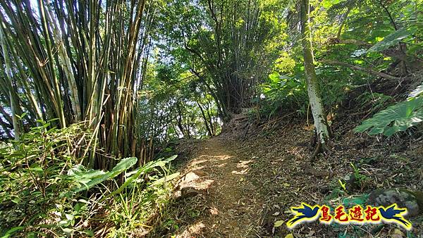 微笑山線(捷運景安站-迎日石-國旗嶺-長壽嶺-牛埔頭山-五尖山-南勢角山-光明頂-捷運南勢角站) (64).jpg 微笑山線(捷運景安站-迎日石-國旗嶺-長壽嶺-牛埔頭山-五尖山-南勢角山-光明頂-捷運南勢角站) (64).jpg