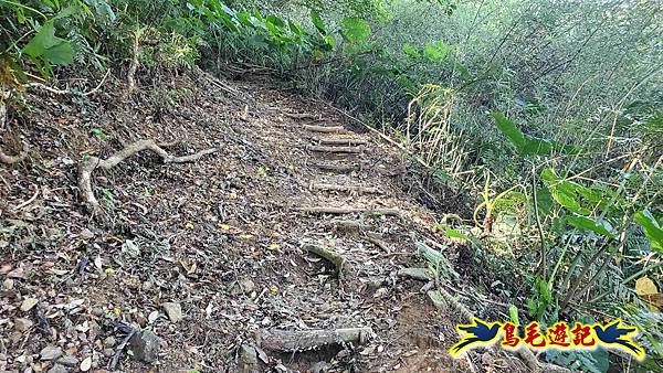 微笑山線(捷運景安站-迎日石-國旗嶺-長壽嶺-牛埔頭山-五尖山-南勢角山-光明頂-捷運南勢角站) (68).jpg 微笑山線(捷運景安站-迎日石-國旗嶺-長壽嶺-牛埔頭山-五尖山-南勢角山-光明頂-捷運南勢角站) (68).jpg