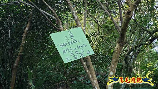 微笑山線(捷運景安站-迎日石-國旗嶺-長壽嶺-牛埔頭山-五尖山-南勢角山-光明頂-捷運南勢角站) (67).jpg