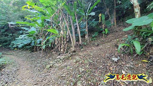 微笑山線(捷運景安站-迎日石-國旗嶺-長壽嶺-牛埔頭山-五尖山-南勢角山-光明頂-捷運南勢角站) (66).jpg 微笑山線(捷運景安站-迎日石-國旗嶺-長壽嶺-牛埔頭山-五尖山-南勢角山-光明頂-捷運南勢角站) (66).jpg