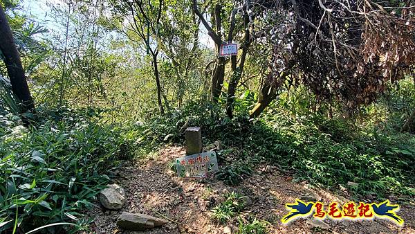 微笑山線(捷運景安站-迎日石-國旗嶺-長壽嶺-牛埔頭山-五尖山-南勢角山-光明頂-捷運南勢角站) (69).jpg