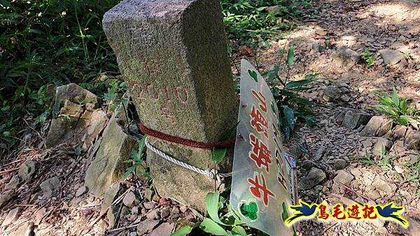 微笑山線(捷運景安站-迎日石-國旗嶺-長壽嶺-牛埔頭山-五尖山-南勢角山-光明頂-捷運南勢角站) (70).jpg 微笑山線(捷運景安站-迎日石-國旗嶺-長壽嶺-牛埔頭山-五尖山-南勢角山-光明頂-捷運南勢角站) (70).jpg