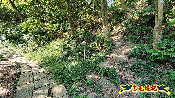 微笑山線(捷運景安站-迎日石-國旗嶺-長壽嶺-牛埔頭山-五尖山-南勢角山-光明頂-捷運南勢角站) (75).jpg 微笑山線(捷運景安站-迎日石-國旗嶺-長壽嶺-牛埔頭山-五尖山-南勢角山-光明頂-捷運南勢角站) (75).jpg