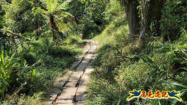 微笑山線(捷運景安站-迎日石-國旗嶺-長壽嶺-牛埔頭山-五尖山-南勢角山-光明頂-捷運南勢角站) (72).jpg 微笑山線(捷運景安站-迎日石-國旗嶺-長壽嶺-牛埔頭山-五尖山-南勢角山-光明頂-捷運南勢角站) (72).jpg