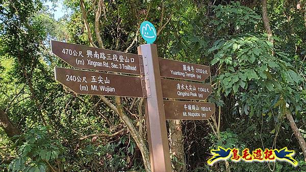 微笑山線(捷運景安站-迎日石-國旗嶺-長壽嶺-牛埔頭山-五尖山-南勢角山-光明頂-捷運南勢角站) (74).jpg