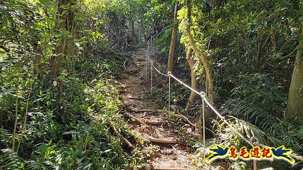 微笑山線(捷運景安站-迎日石-國旗嶺-長壽嶺-牛埔頭山-五尖山-南勢角山-光明頂-捷運南勢角站) (76).jpg