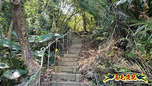 微笑山線(捷運景安站-迎日石-國旗嶺-長壽嶺-牛埔頭山-五尖山-南勢角山-光明頂-捷運南勢角站) (77).jpg 微笑山線(捷運景安站-迎日石-國旗嶺-長壽嶺-牛埔頭山-五尖山-南勢角山-光明頂-捷運南勢角站) (77).jpg