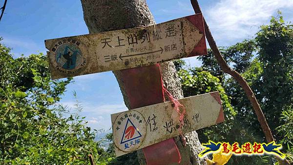 微笑山線(捷運景安站-迎日石-國旗嶺-長壽嶺-牛埔頭山-五尖山-南勢角山-光明頂-捷運南勢角站) (81).jpg 微笑山線(捷運景安站-迎日石-國旗嶺-長壽嶺-牛埔頭山-五尖山-南勢角山-光明頂-捷運南勢角站) (81).jpg