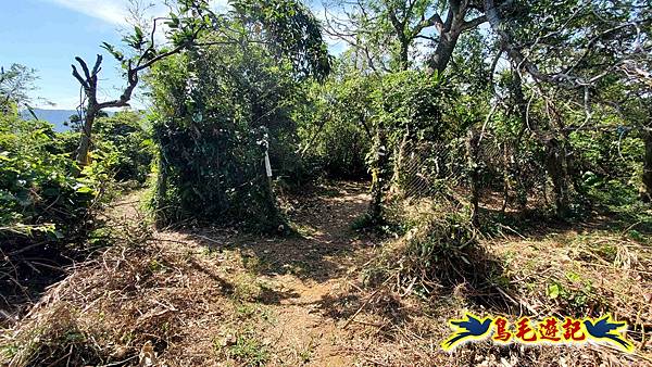 微笑山線(捷運景安站-迎日石-國旗嶺-長壽嶺-牛埔頭山-五尖山-南勢角山-光明頂-捷運南勢角站) (78).jpg